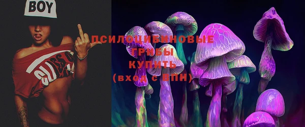 mix Касимов