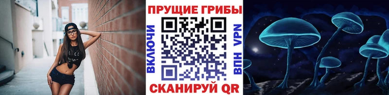 Купить  Ахтубинск  Псилоцибиновые грибы прущие грибы 